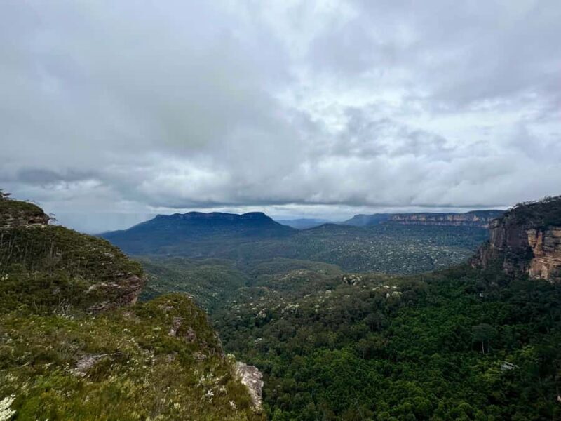 Blue Mountains: Inside a World Heritage National Park - Who Should Consider This Tour?