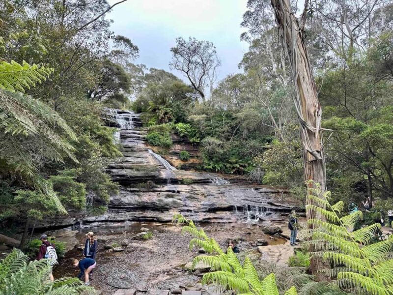 Blue Mountains: Inside a World Heritage National Park - Final Thoughts
