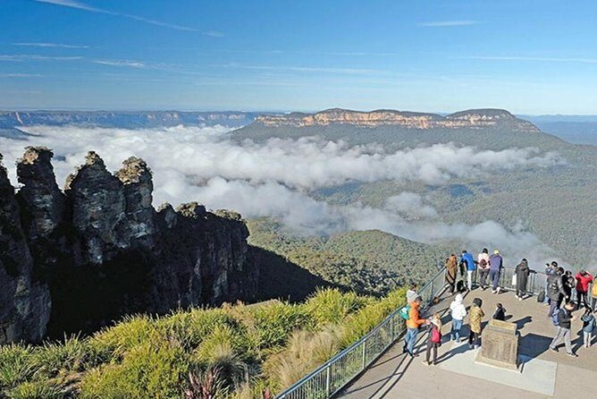 Blue Mountains | Koalas, Kangaroos & Bondi Beach Private Tour - Key Points