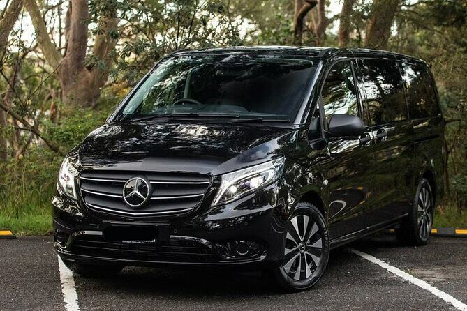 Blue Mountains | Koalas, Kangaroos & Bondi Beach Private Tour - An In-Depth Look at the Itinerary