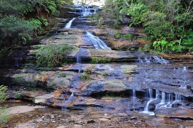 Blue Mountains | Koalas, Kangaroos & Bondi Beach Private Tour - Final Thoughts