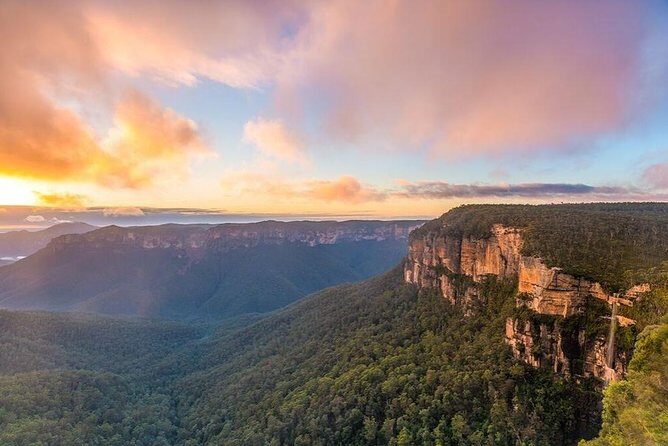 Blue Mountains | Koalas, Kangaroos & Bondi Beach Private Tour - FAQ