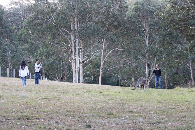 Blue Mountains Private Charter - The Sum Up: Is It Worth It?