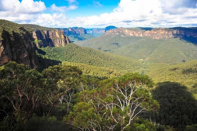 Blue Mountains Private Hiking Tour from Sydney - Who Will Love This Tour?