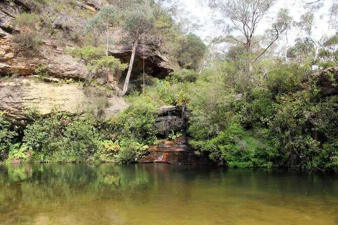 Blue Mountains Private Tour - Introduction: Is this the Blue Mountains Tour for You?