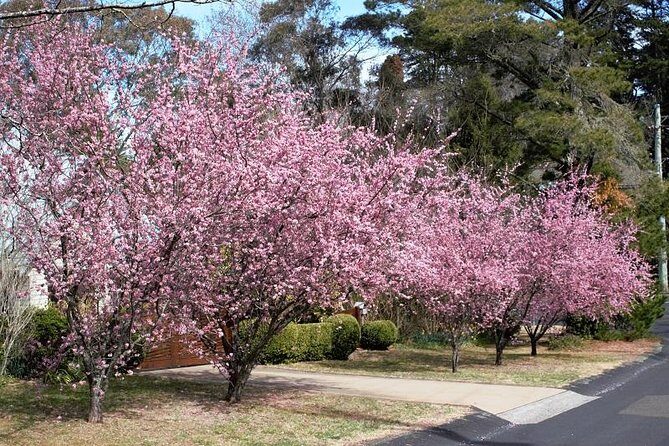 Blue Mountains Private Tour - FAQ