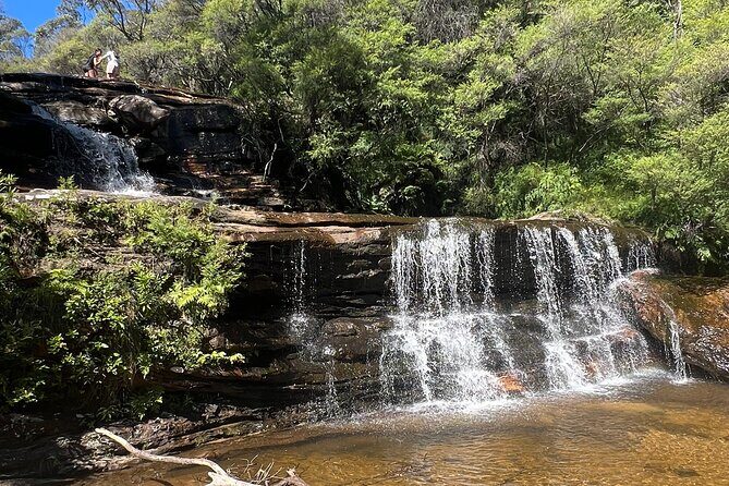 Blue Mountains Private Tour & Hidden Gems, Pick up & Drop off - Authentic Experiences and Honest Insights