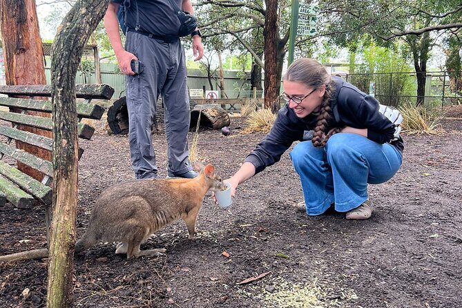 Blue Mountains Private Tour & Scenic World Included - The Experience: What Travelers Can Expect