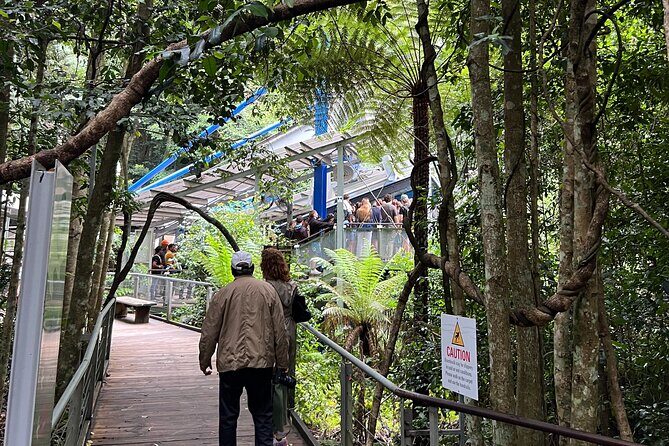 Blue Mountains Private Tour & Scenic World Included - Why This Tour Works Well