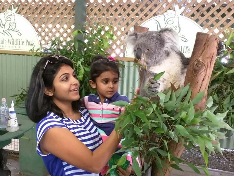 Blue Mountains private tour with Featherdale Wildlife Park - Key Points