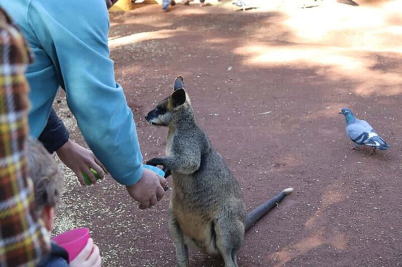 Blue Mountains: Private Tour with Wildlife and River Cruise - Final Thoughts
