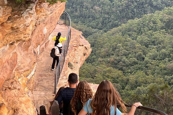 Blue Mountains Private Tours Sydney Zoo or Scenic world Options - A Deep Dive into the Blue Mountains Tour Experience