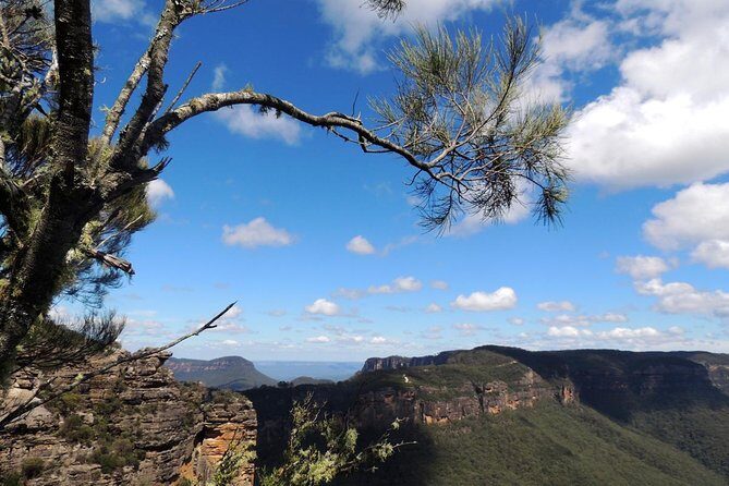 Blue Mountains Small-Group Insider Tour from Sydney - An Overview of What You Can Expect