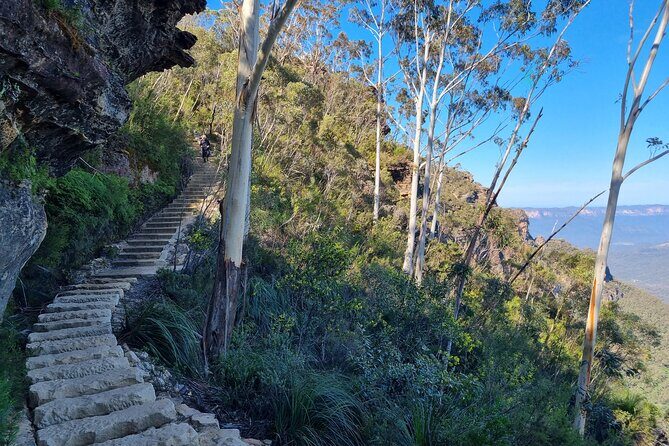 Blue Mountains Small Group Tour with Lunch, Zoo and Scenic World - What the Reviews Say