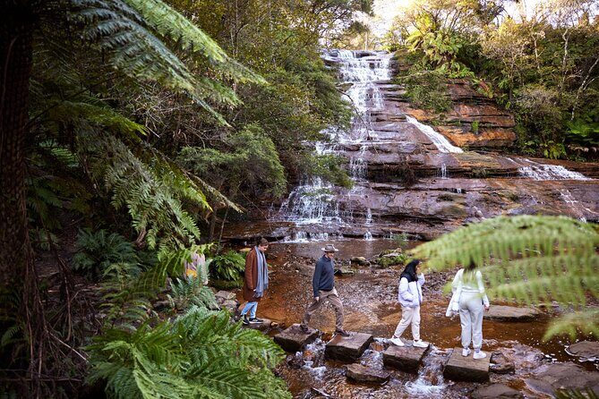 Blue Mountains Sunset Tour with Kangaroo Sightings from Sydney - A Deep Dive into the Itinerary