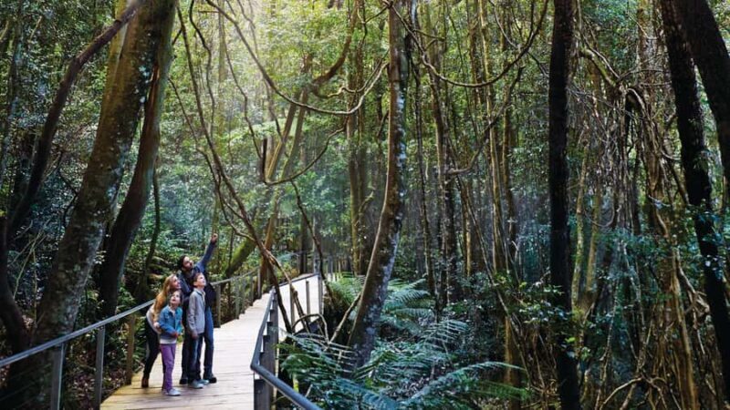 Blue Mountains Tour - Small grp, Koala, Kangaroo & Waterfall - FAQ