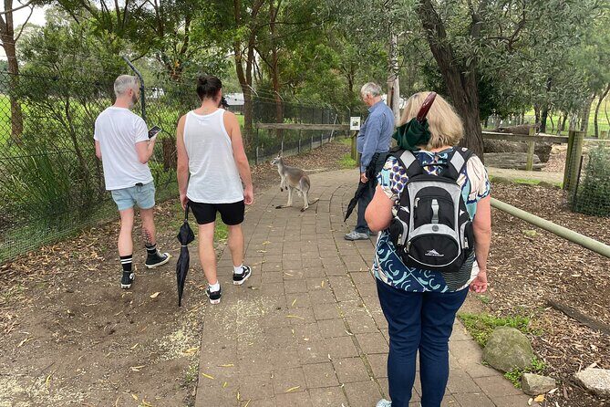 Blue Mountains Wildlife Full-Day Sights and Hiking from Sydney - The Majestic Govetts Leap and the Blue Mountains Botanic Garden