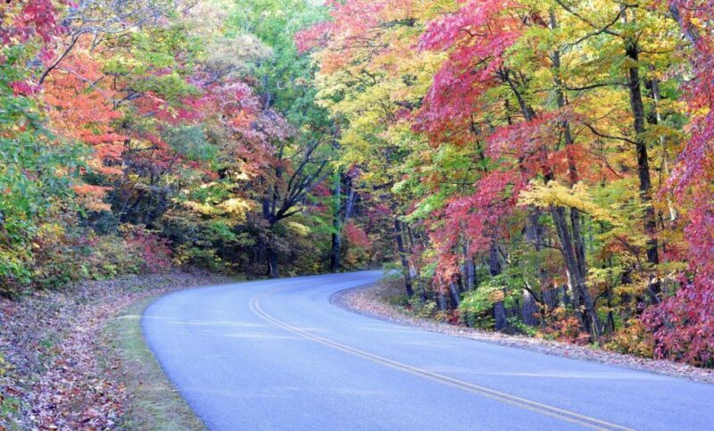 Blue Ridge Parkway Waterfalls: Hiking Tour from Asheville - Exploring the Blue Ridge Parkway Waterfalls Tour