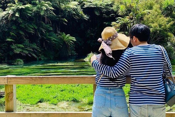 Blue Springs, Redwood Forest, Huka Falls Private tour - Analyzing the Cost