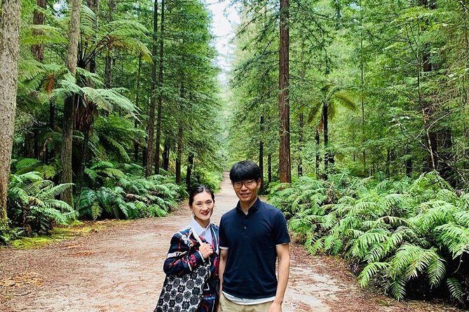 Blue Springs, Redwood Forest, Huka Falls Private tour - Final Thoughts