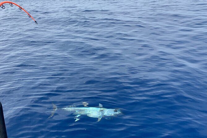 Bluefin Tuna Fishing Charter in the Egadi Islands - A Deep Dive into the Experience