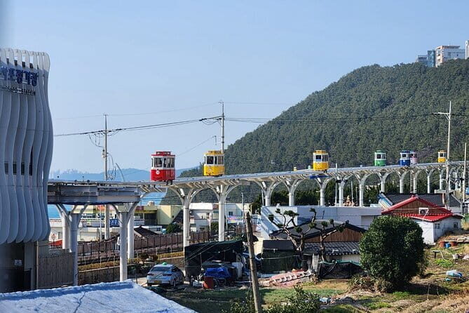 Blueline Park & Silver Grass Field(Ganwoljae) in Yeongnam Alps - FAQ