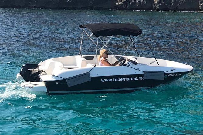 Bluemarine.me license free Bayliner Element E5 rental - An Honest Look at the Experience