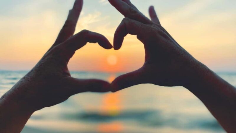 Boat excursions - Key Points