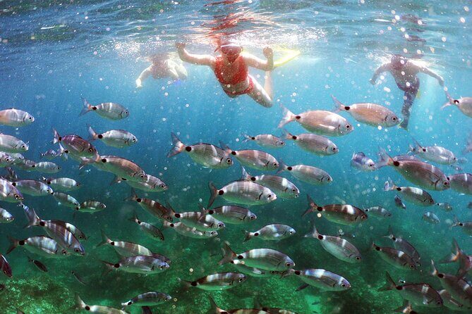 BOAT & KAYAK! Sea Adventure - Snorkeling & Cliff Jumps - Introduction