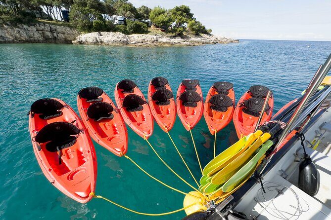 BOAT & KAYAK! Sea Adventure - Snorkeling & Cliff Jumps - Who Is This Tour Best For?