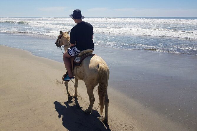 Boat Ride-Gentle Beach Beach Horseback Ride+Lunch-Crocs-Turtles - A Deep Dive into the Acapulco Adventure