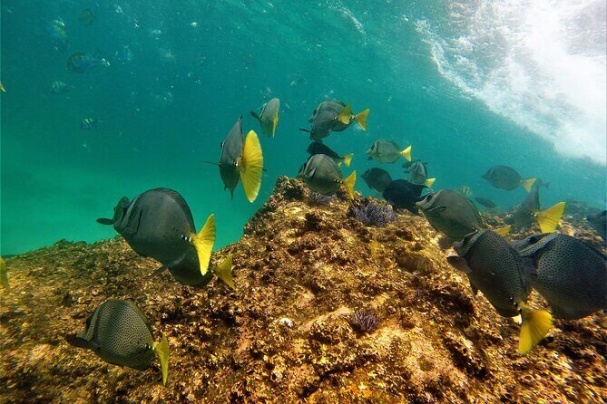 Boat ride to the Arch and Snorkel - Who Will Love This Tour?