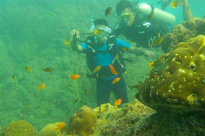Boat Scuba Diving at Neil Island - What Makes This Experience Stand Out