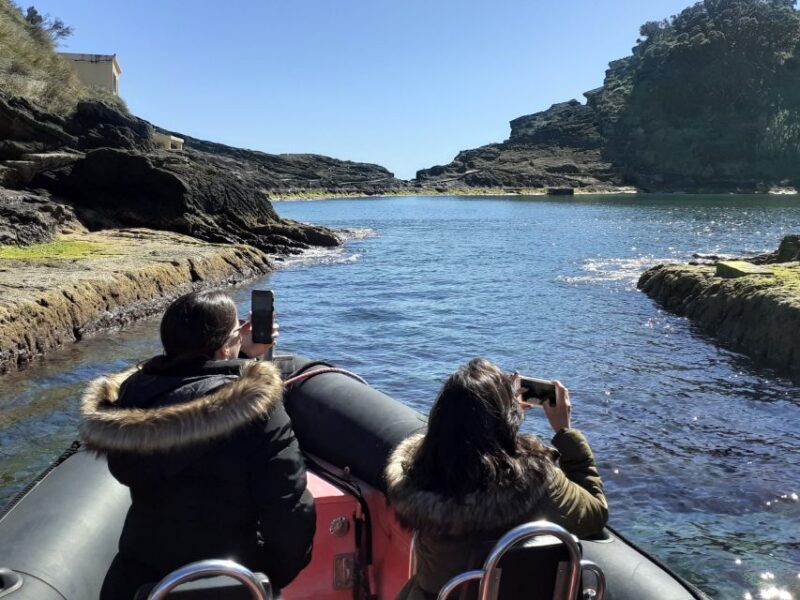 Boat Tour around Vila Franca do Campo Islet in Azores - Experience Breakdown
