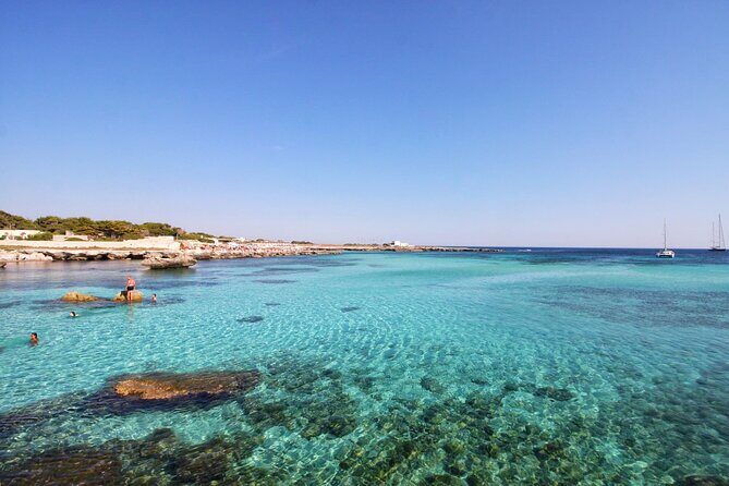 Boat tour Excursion from Trapani to Favignana and Levanzo 8 hours - A Deep Dive into the Experience