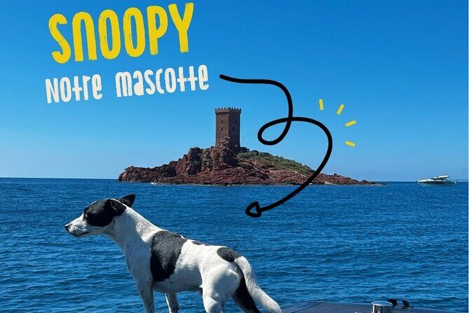 Boat tour from Fréjus - Calanques Estérel - 2h30 - FAQs About the Fréjus Boat Tour