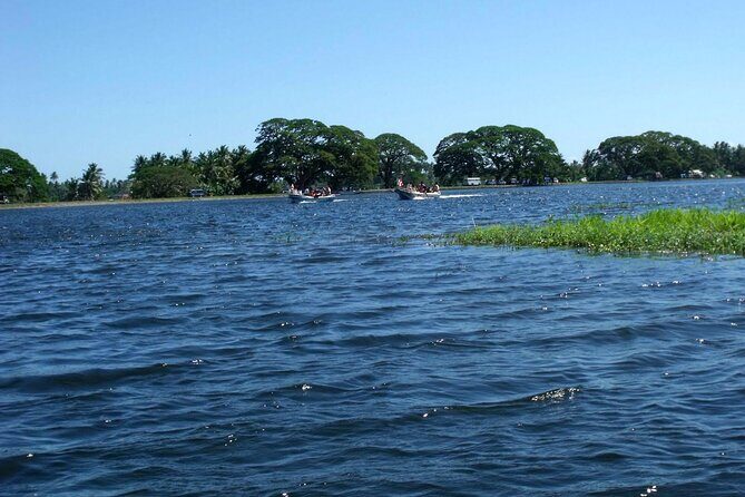 Boat Tour in Tissamaharama Lake - Who Is This Tour Best For?