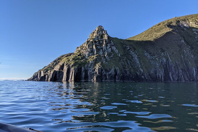 Boat Tour of Dingle Peninsula - The Experience in Detail