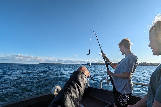 Boat Tour of Kinsale Harbour and Bandon River - A Detailed Look at the Boat Tour of Kinsale Harbour and Bandon River