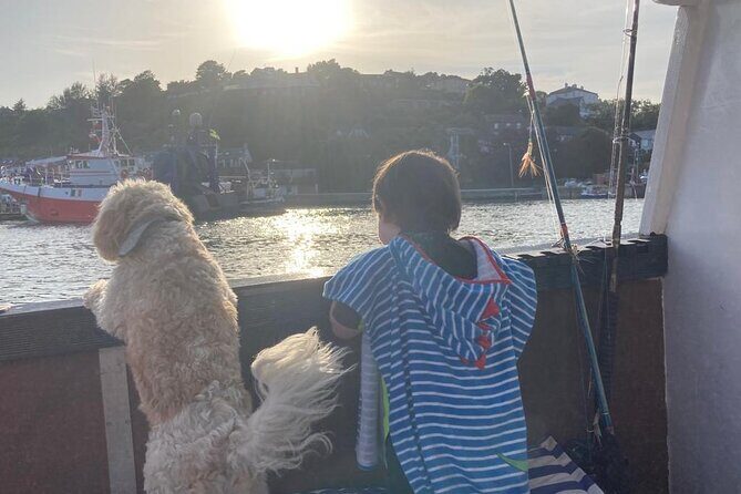 Boat Tour of Kinsale Harbour and Bandon River - Practical Tips for Your Trip