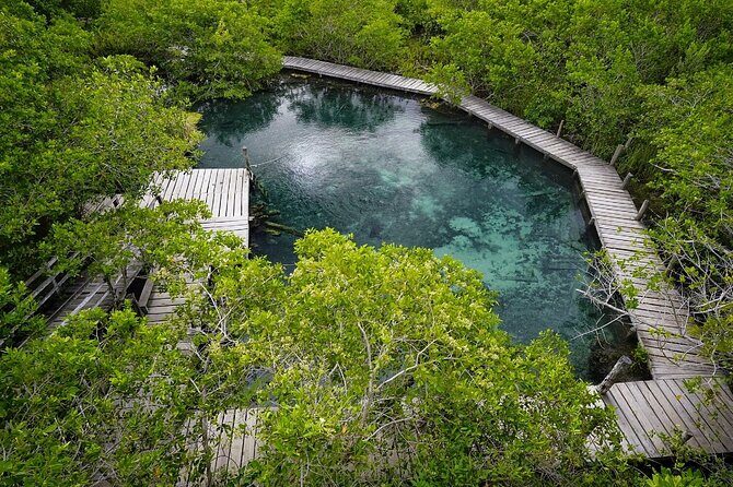 Boat Tour of Three Islands in Holbox with Transportation - FAQs