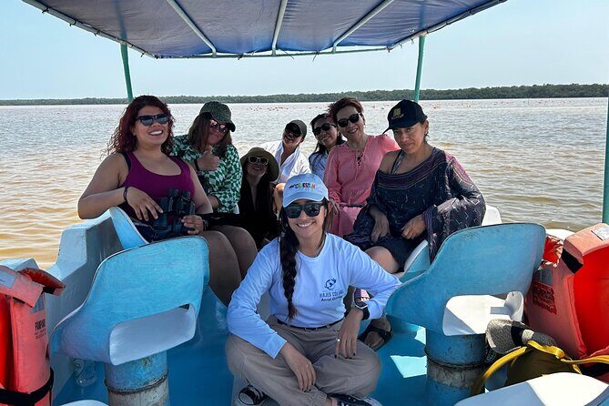Boat tour through the mangroves of Celestún and Playa from Merida - Exploring the Itinerary in Detail