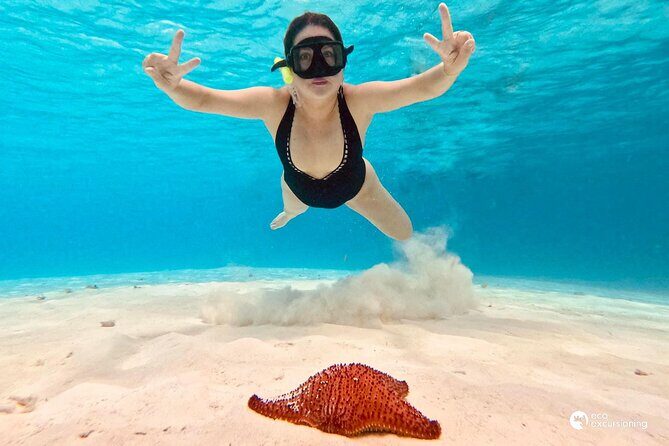 Boat Tour to Heaven in Cozumel with Ceviche - Analyzing the Value