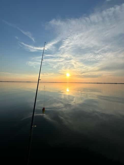 Boat Tour to Letea Forest - Transitioning to Letea Forest: An Off-Road Experience