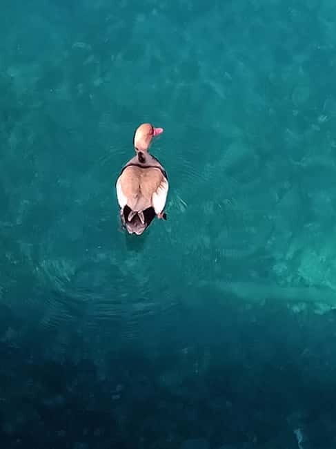 Boat tour:isola bella taormina - FAQ