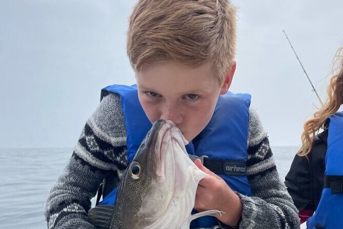 Boat Tours from Quidi Vidi Marina - Scenic and Wildlife Highlights