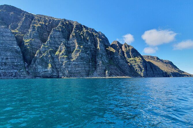 Boat Tours from Siglufjörður - Key Points