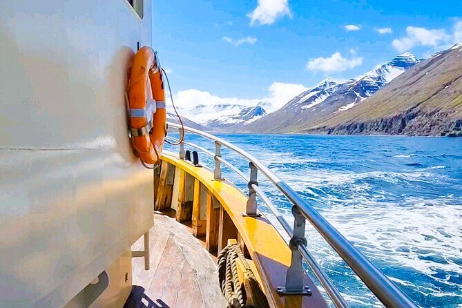 Boat Tours from Siglufjörður - Why This Tour Offers Good Value