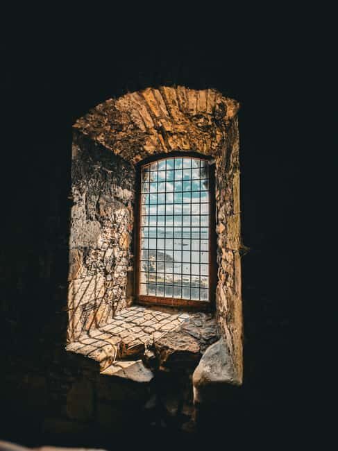 Boat trip and guided tour to Inchcolm Island - Final Thoughts