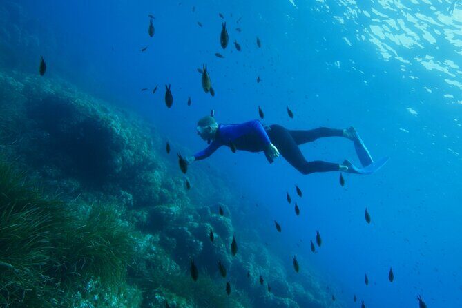 Boat trip and snorkeling in Villefranche - sur - Mer - An in-depth look at the experience
